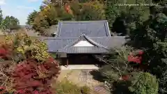 芳徳寺の本殿