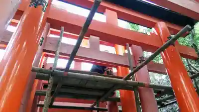 伏見稲荷大社の鳥居