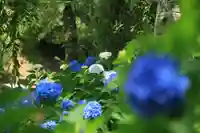 八幡神社の庭園
