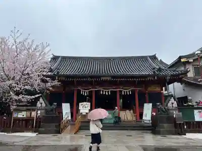 浅草神社の本殿・本堂