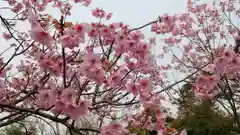 熊野若王子神社の自然