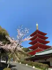 総本山　本福寺の塔