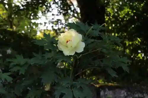 隆国寺の庭園