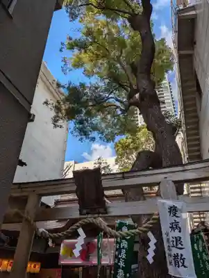 少彦名神社(大阪府)