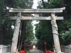 馬橋稲荷神社の鳥居