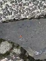 久度神社の自然