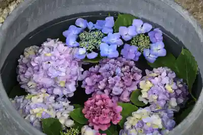 三春大神宮の手水舎