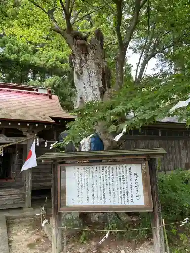 鹿嶋神社(宮城県)