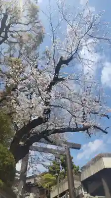 伊勢山皇大神宮(神奈川県)