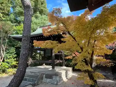 観音寺(埼玉県)