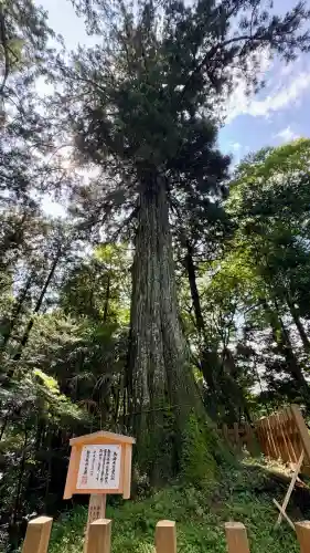 須山浅間神社(静岡県)