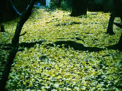 石切劔箭神社上之社の自然