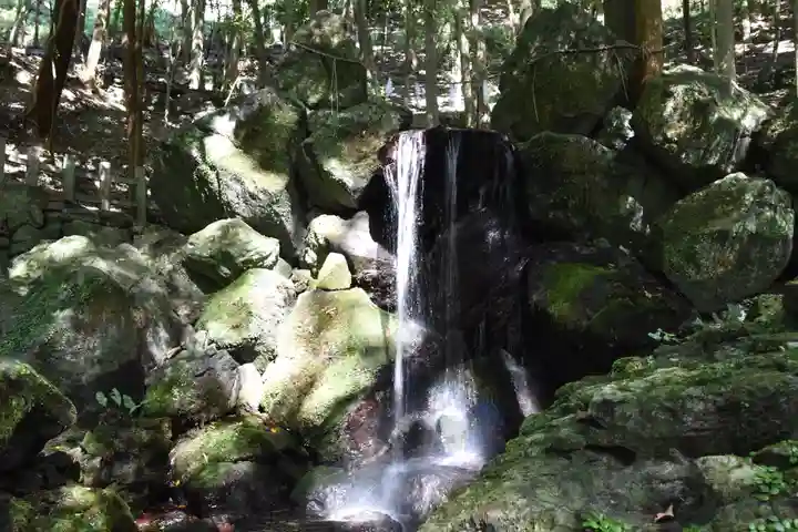 出雲大神宮の自然