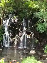 玉簾神社の自然