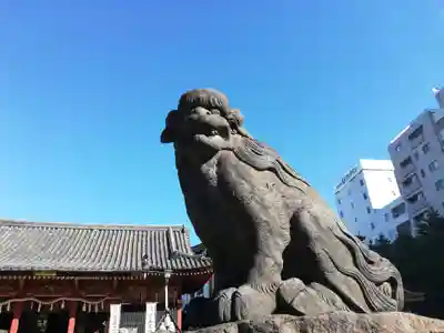 浅草神社の狛犬