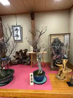 菅原天満宮（菅原神社）(奈良県)