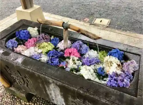 賀茂別雷神社の手水舎