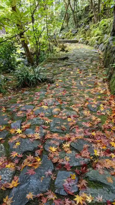 安楽寺(京都府)