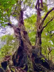 白瀧神社(茨城県)