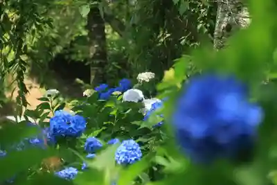 八幡神社の庭園