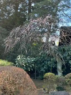 岩槻久伊豆神社(埼玉県)