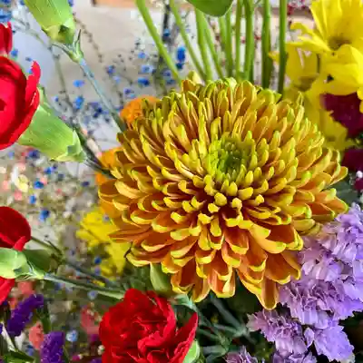 滑川神社 - 仕事と子どもの守り神の手水舎