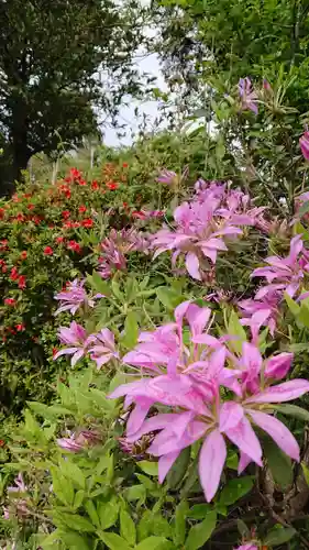 平出雷電神社の自然