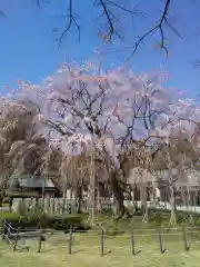 足羽神社の自然