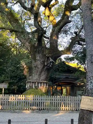 熱田神宮(愛知県)