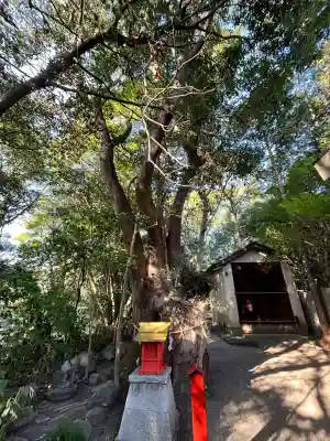 津八幡宮の{uncategorized: "未分類", other: "その他", undefined: "問題あり", building: "その他建物", grave: "お墓", sacred_gate: "鳥居", guardian: "狛犬", statue: "像", buddha: "仏像", history: "歴史", nature: "自然", garden: "庭園", animal: "動物", pagoda: "塔", temizu: "手水舎", mountain_gate: "山門・神門", sanctuary: "本殿・本堂", subordinate: "末社・摂社", art: "芸術", scenery: "景色", jizo: "地蔵", ema: "絵馬", goshuin: "御朱印", omikuji: "おみくじ", items: "授与品その他", amulet: "お守り", goshuincho: "御朱印帳", eats: "食事", festival: "お祭り", votive_dance: "神楽", shichigosan: "七五三参", wedding: "結婚式", experience: "体験その他", initially: "初詣", around: "周辺", anti_infection: "感染症対策"}