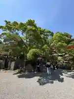 深大寺(東京都)