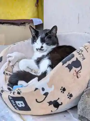 白金氷川神社(東京都)