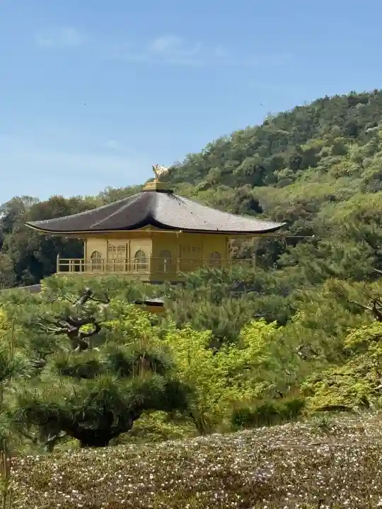 鹿苑寺(金閣寺)の{uncategorized: "未分類", other: "その他", undefined: "問題あり", building: "その他建物", grave: "お墓", sacred_gate: "鳥居", guardian: "狛犬", statue: "像", buddha: "仏像", history: "歴史", nature: "自然", garden: "庭園", animal: "動物", pagoda: "塔", temizu: "手水舎", mountain_gate: "山門・神門", sanctuary: "本殿・本堂", subordinate: "末社・摂社", art: "芸術", scenery: "景色", jizo: "地蔵", ema: "絵馬", goshuin: "御朱印", omikuji: "おみくじ", items: "授与品その他", amulet: "お守り", goshuincho: "御朱印帳", eats: "食事", festival: "お祭り", votive_dance: "神楽", shichigosan: "七五三参", wedding: "結婚式", experience: "体験その他", initially: "初詣", around: "周辺", anti_infection: "感染症対策"}