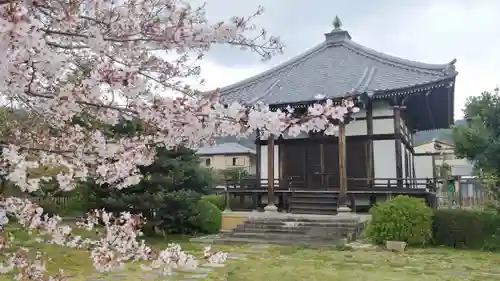 大覚寺の本殿・本堂