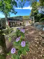 中野沼袋氷川神社(東京都)