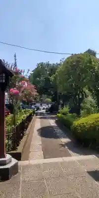 白山神社(東京都)