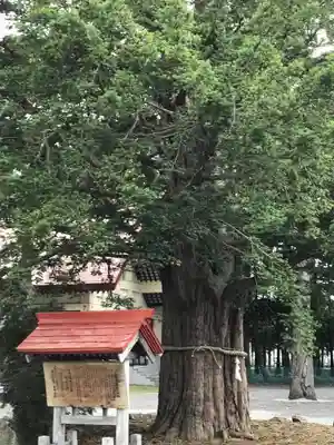豊栄神社のその他建物