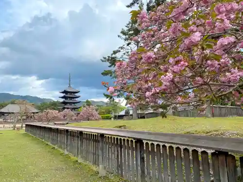 興福寺 北円堂のその他建物