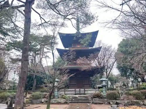 豪徳寺(東京都)