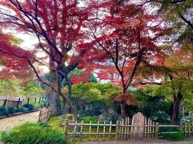 本土寺(千葉県)