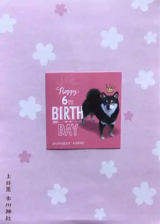 上目黒氷川神社(東京都)