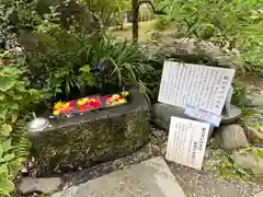 武田神社(山梨県)