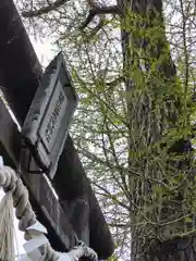 賀茂皇大神社の鳥居