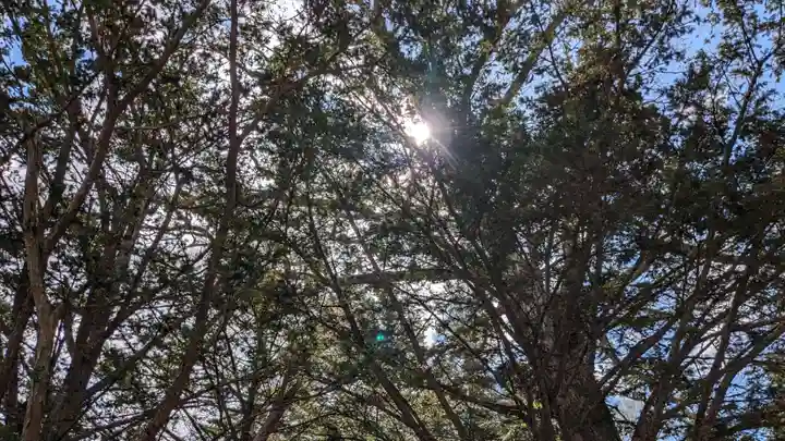 茂岩神社の自然