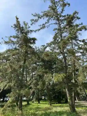 天橋立神社(京都府)