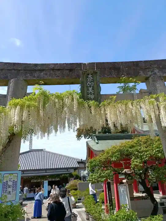 奈加美神社(大阪府)