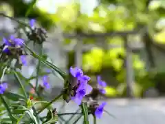 冨士山稲荷神社(長野県)