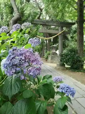 越谷香取神社のその他建物