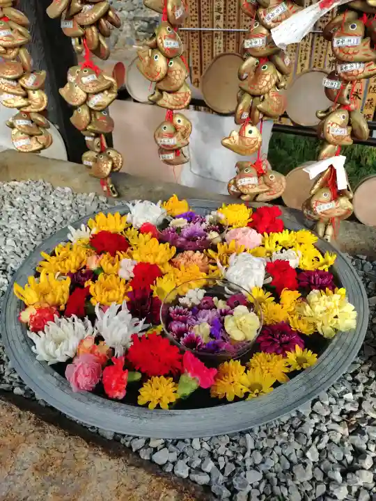 埼玉厄除け開運大師・龍泉寺(切り絵御朱印発祥の寺)の{uncategorized: "未分類", other: "その他", undefined: "問題あり", building: "その他建物", grave: "お墓", sacred_gate: "鳥居", guardian: "狛犬", statue: "像", buddha: "仏像", history: "歴史", nature: "自然", garden: "庭園", animal: "動物", pagoda: "塔", temizu: "手水舎", mountain_gate: "山門・神門", sanctuary: "本殿・本堂", subordinate: "末社・摂社", art: "芸術", scenery: "景色", jizo: "地蔵", ema: "絵馬", goshuin: "御朱印", omikuji: "おみくじ", items: "授与品その他", amulet: "お守り", goshuincho: "御朱印帳", eats: "食事", festival: "お祭り", votive_dance: "神楽", shichigosan: "七五三参", wedding: "結婚式", experience: "体験その他", initially: "初詣", around: "周辺", anti_infection: "感染症対策"}