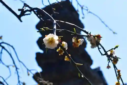 永賞寺の自然